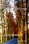 La via stretta